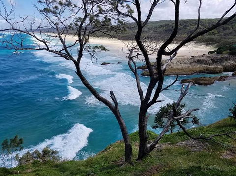 North Stradbroke Island Day Trip From Brisbane - Find Attractions 5