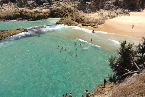 North Stradbroke Island Day Trip From Brisbane - Find Attractions 1