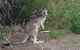 North Stradbroke Island Day Trip From Brisbane - thumb 13