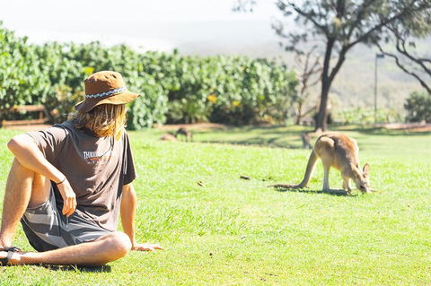 North Stradbroke Island Day Trip From Brisbane - Find Attractions 35