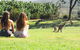 North Stradbroke Island Day Trip From Brisbane - thumb 28