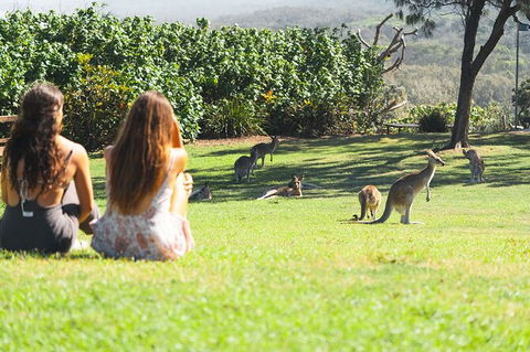 North Stradbroke Island Day Trip From Brisbane - Find Attractions 28