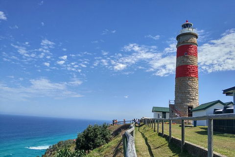 Cape Moreton Scenic 4WD Day Tour From Brisbane Or The Gold Coast - Find Attractions 1