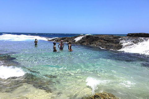 Cape Moreton Scenic 4WD Day Tour From Brisbane Or The Gold Coast - Find Attractions 3