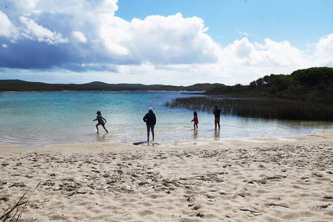 Cape Moreton Scenic 4WD Day Tour From Brisbane Or The Gold Coast - Find Attractions 5