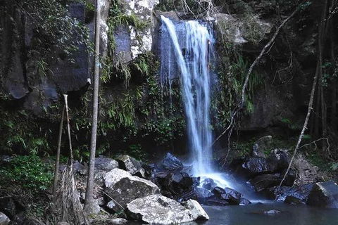 You Choose The Tour: Brisbane Private Chauffeur Driven Personal Tour - Find Attractions 0