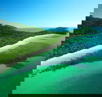 Cape Tribulation Mossman Gorge and Daintree Rainforest Day Trip from Cairns or Port Douglas - Find Attractions