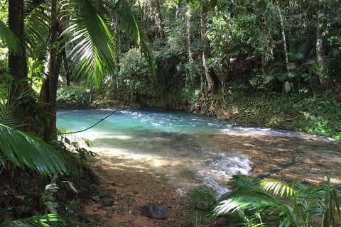 Daintree - Cape Tribulation & Atherton Tablelands Tours From Port Douglas - Find Attractions 5