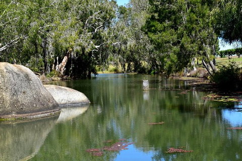 Daintree - Cape Tribulation & Atherton Tablelands Tours From Port Douglas - Find Attractions 28
