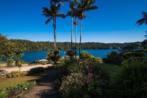 Daintree - Cape Tribulation & Atherton Tablelands Tours From Port Douglas - Find Attractions 25