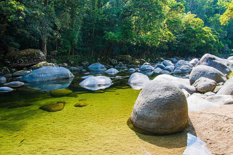 Daintree - Cape Tribulation & Atherton Tablelands Tours From Port Douglas - Find Attractions 6