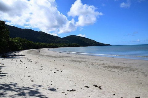 Daintree - Cape Tribulation & Atherton Tablelands Tours From Port Douglas - Find Attractions 18