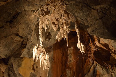 Daintree - Cape Tribulation & Atherton Tablelands Tours From Port Douglas - Find Attractions 23