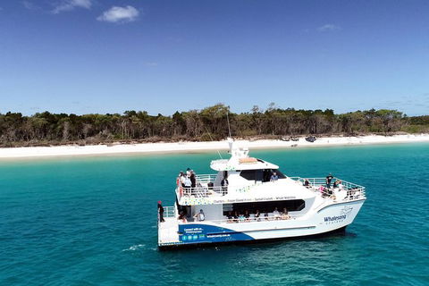 Hervey Bay Whale Watching Experience - Find Attractions 11