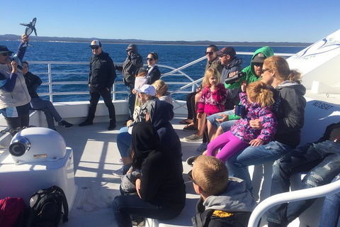 Hervey Bay Whale Watching Experience - Find Attractions 10
