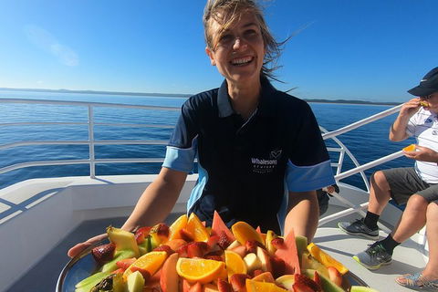 Hervey Bay Whale Watching Experience - Find Attractions 5