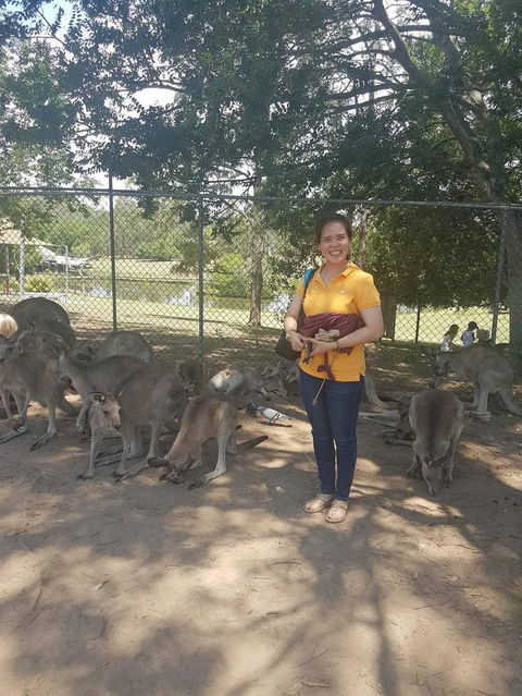 Lone Pine Koala Sanctuary Admission With Brisbane River Cruise - Find Attractions 17