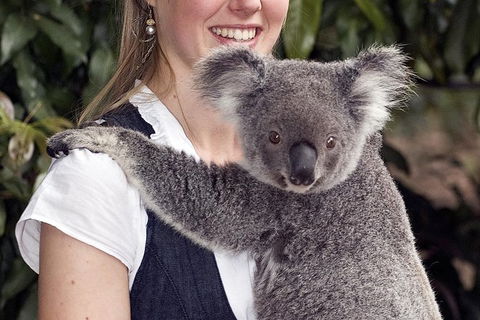 Lone Pine Koala Sanctuary Admission With Brisbane River Cruise - Find Attractions 1