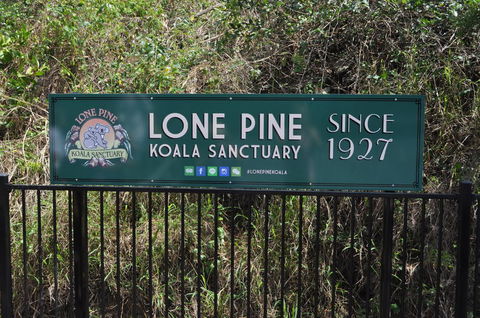 Lone Pine Koala Sanctuary Admission With Brisbane River Cruise - Find Attractions 7