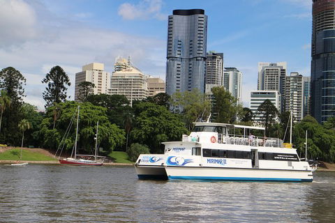 Lone Pine Koala Sanctuary Admission With Brisbane River Cruise - Find Attractions 32