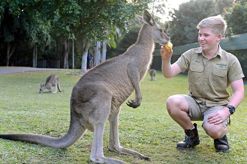 Small-Group Australia Zoo Day Trip From Brisbane - Find Attractions 6