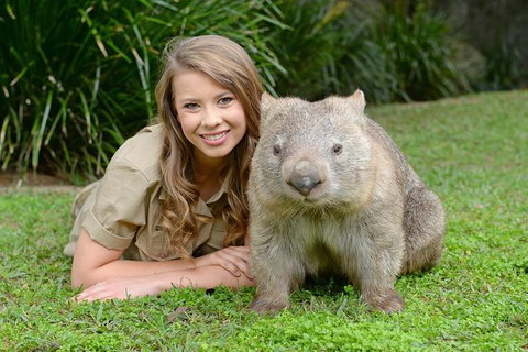 Small-Group Australia Zoo Day Trip From Brisbane - Find Attractions 5
