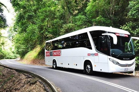 Palm Cove Departure Transfer - Palm Cove To Airport - Find Attractions 1