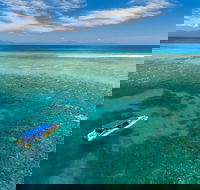Ocean Safari Great Barrier Reef Experience in Cape Tribulation - Find Attractions