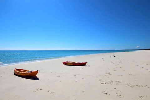 Fraser Island West Coast BBQ Lunch Cruise From Hervey Bay Including Kayaking And Swimming - Find Attractions 8
