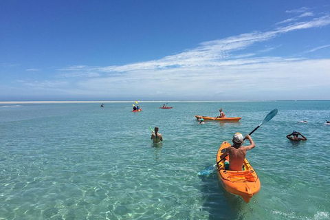 Fraser Island West Coast BBQ Lunch Cruise From Hervey Bay Including Kayaking And Swimming - Find Attractions 9