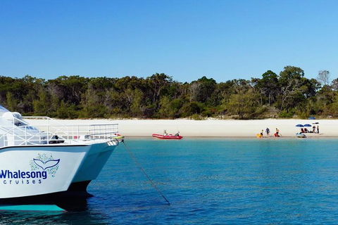 Fraser Island West Coast BBQ Lunch Cruise From Hervey Bay Including Kayaking And Swimming - Find Attractions 10