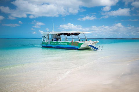 Great Sandy Marine Park Turtle Discovery And Cultural Eco Tour - Find Attractions 0