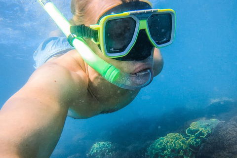 Great Sandy Marine Park Turtle Discovery And Cultural Eco Tour - Find Attractions 2