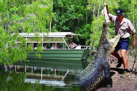 Crocs, Creatures And Culture Tour Ex Cairns - Find Attractions 1
