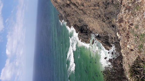 Chill Out At Byron Bay From Gold Coast - Find Attractions 2