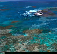 Quicksilver Outer Great Barrier Reef Snorkel Cruise from Port Douglas - Find Attractions
