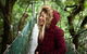 O\'Reilly\'s & Lamington National Park Incl. Alpaca Farm + Vineyard - thumb 0