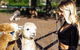 O\'Reilly\'s & Lamington National Park Incl. Alpaca Farm + Vineyard - thumb 7