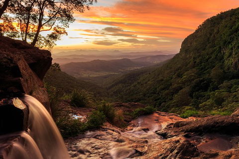 O\'Reilly\'s & Lamington National Park Incl. Alpaca Farm + Vineyard - Find Attractions 6