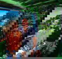 Skyrail Rainforest Cableway Day Trip from Palm Cove - Find Attractions