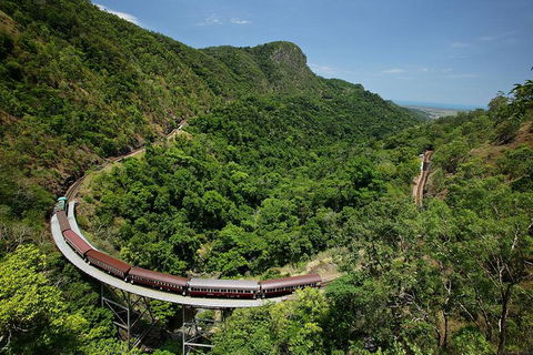Skyrail Rainforest Cableway Day Trip From Palm Cove - Find Attractions 5