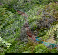 Kuranda Scenic Railway Day Trip from Port Douglas - Find Attractions