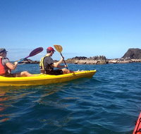 Port Douglas Half-Day Kayak Tour - Find Attractions