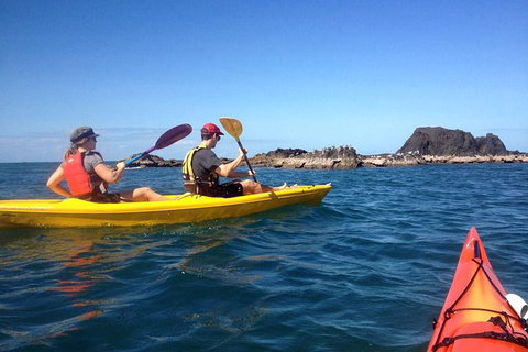 Port Douglas Half-Day Kayak Tour - Find Attractions 0