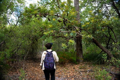 Pack-free Camping: Lake McKenzie Central Hike - 2 Days - Find Attractions 1