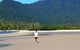 Cape Tribulation And Jungle Surfing Adventure Day From Port Douglas - thumb 1