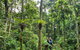 Cape Tribulation And Jungle Surfing Adventure Day From Port Douglas - thumb 0