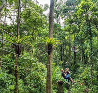 Cape Tribulation and Jungle Surfing Adventure Day from Port Douglas - Find Attractions