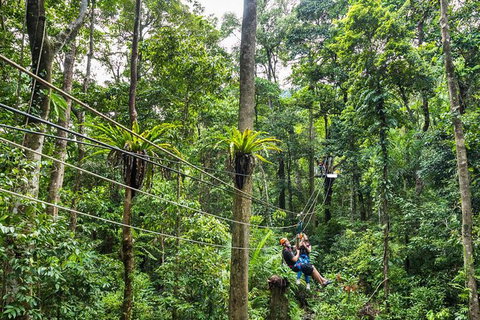 Cape Tribulation And Jungle Surfing Adventure Day From Port Douglas - Find Attractions 0