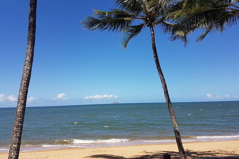 Airport Transfers Between Cairns Airport And Port Douglas - Find Attractions 7
